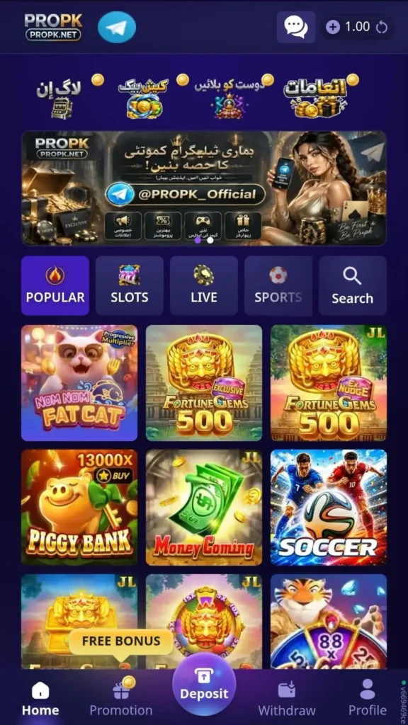Propk Game Interface